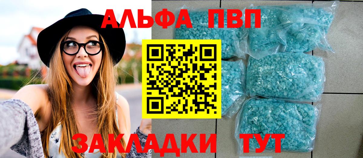 Альфа ПВП СК КРИС Тихорецк