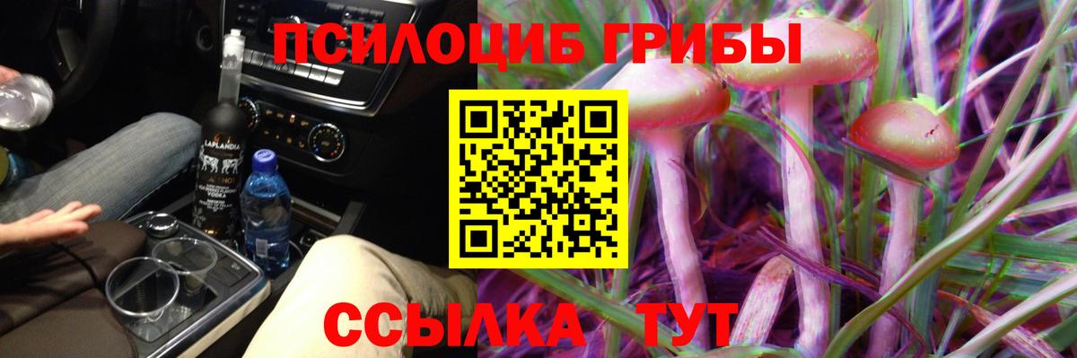 Тихорецк  Псилоцибиновые грибы ЛСД  Вход с VPN 